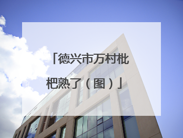 德兴市万村枇杷熟了（图）