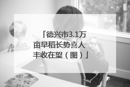 德兴市3.1万亩早稻长势喜人 丰收在望（图）