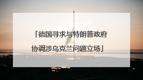 德国寻求与特朗普政府协调涉乌克兰问题立场