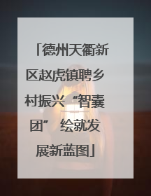 德州天衢新区赵虎镇聘乡村振兴“智囊团” 绘就发展新蓝图