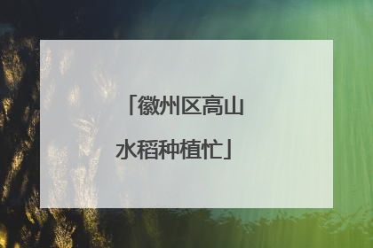 徽州区高山水稻种植忙