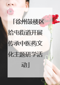 徐州鼓楼区拾屯街道开展传承中医药文化主题研学活动