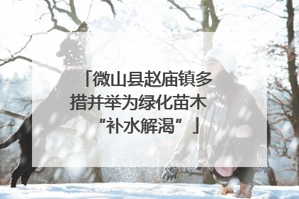 微山县赵庙镇多措并举为绿化苗木“补水解渴”