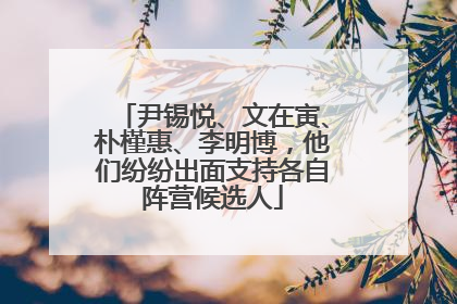 尹锡悦、文在寅、朴槿惠、李明博，他们纷纷出面支持各自阵营候选人
