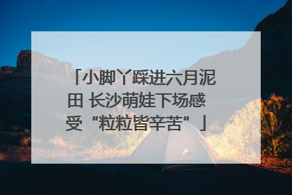 小脚丫踩进六月泥田 长沙萌娃下场感受“粒粒皆辛苦”