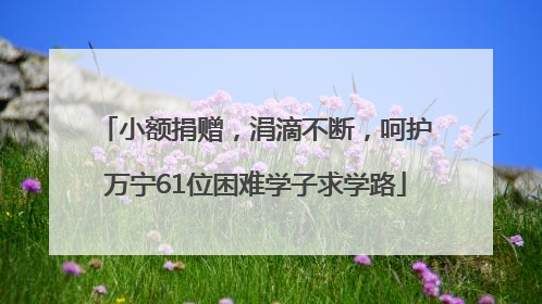 小额捐赠，涓滴不断，呵护万宁61位困难学子求学路