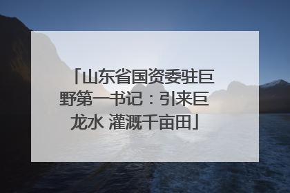 山东省国资委驻巨野第一书记：引来巨龙水 灌溉千亩田