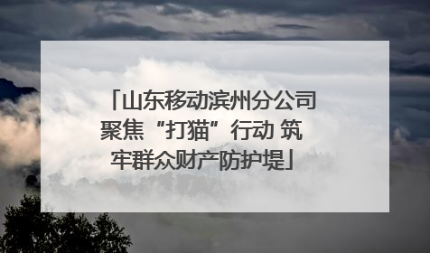 山东移动滨州分公司聚焦“打猫”行动 筑牢群众财产防护堤