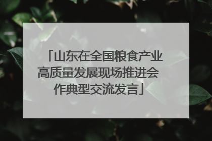 山东在全国粮食产业高质量发展现场推进会作典型交流发言