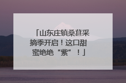 山东庄镇桑葚采摘季开启！这口甜蜜绝绝“紫”！