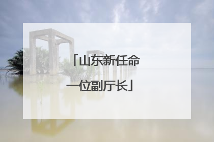 山东新任命一位副厅长