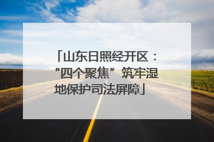 山东日照经开区：“四个聚焦”筑牢湿地保护司法屏障