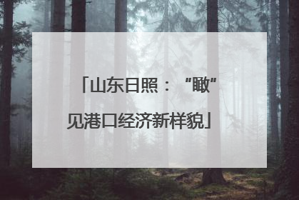山东日照：“瞰”见港口经济新样貌