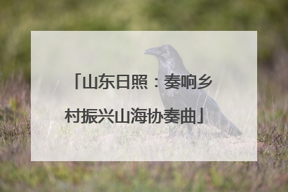 山东日照：奏响乡村振兴山海协奏曲