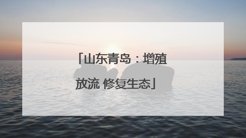 山东青岛：增殖放流 修复生态