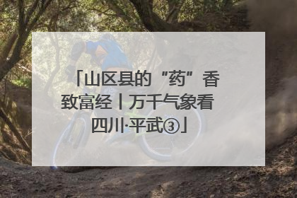 山区县的“药”香致富经丨万千气象看四川·平武③