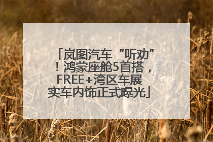 岚图汽车“听劝”！鸿蒙座舱5首搭，FREE+湾区车展实车内饰正式曝光