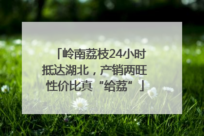 岭南荔枝24小时抵达湖北，产销两旺性价比真“给荔”