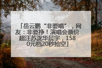 岳云鹏“非要唱”，网友：非要挣！演唱会票价超汪苏泷华晨宇，1580元档20秒抢空