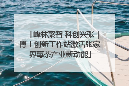 峰林聚智 科创兴张｜博士创新工作站激活张家界莓茶产业新动能