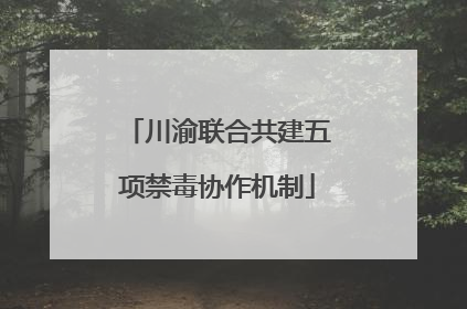 川渝联合共建五项禁毒协作机制