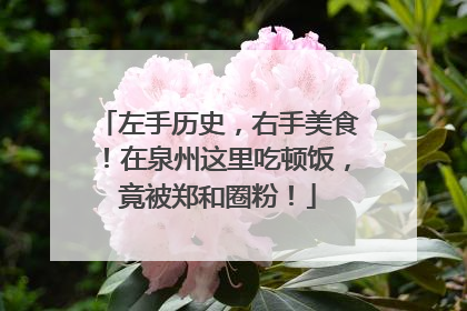 左手历史，右手美食！在泉州这里吃顿饭，竟被郑和圈粉！