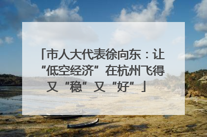 市人大代表徐向东：让“低空经济”在杭州飞得又“稳”又“好”