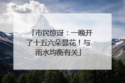 市民惊讶：一晚开了十五六朵昙花！与雨水均衡有关