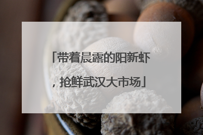 带着晨露的阳新虾，抢鲜武汉大市场
