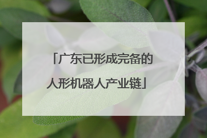 广东已形成完备的人形机器人产业链
