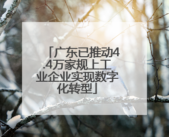 广东已推动4.4万家规上工业企业实现数字化转型
