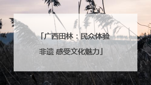 广西田林：民众体验非遗 感受文化魅力