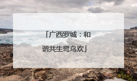 广西罗城：和谐共生鹭鸟欢