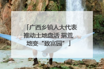 广西乡镇人大代表推动土地盘活 撂荒地变“致富园”