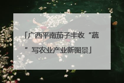 广西平南茄子丰收“蔬”写农业产业新图景