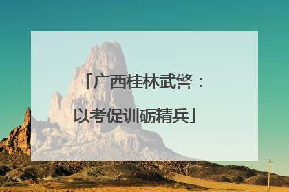 广西桂林武警：以考促训砺精兵