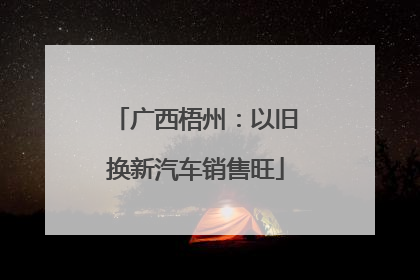 广西梧州：以旧换新汽车销售旺