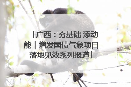 广西：夯基础 添动能｜增发国债气象项目落地见效系列报道