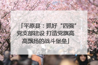 平原县：抓好“四强”党支部建设 打造党旗高高飘扬的战斗堡垒