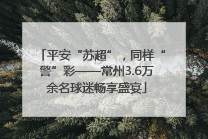 平安“苏超”，同样“警”彩——常州3.6万余名球迷畅享盛宴