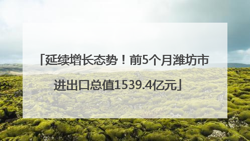 延续增长态势！前5个月潍坊市进出口总值1539.4亿元