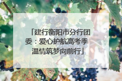 建行衡阳市分行团委：爱心护航高考季 温情筑梦向前行
