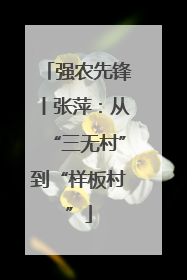 强农先锋丨张萍：从“三无村”到“样板村”