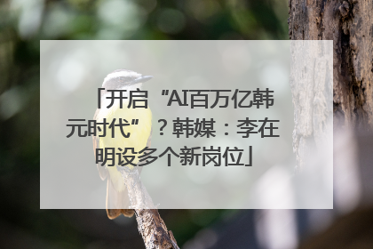 开启“AI百万亿韩元时代”？韩媒：李在明设多个新岗位