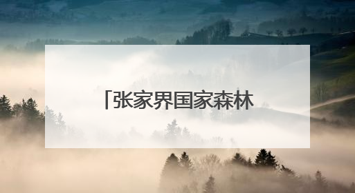 张家界国家森林公园黄石寨景区端午织密安全网 守护游客安心游