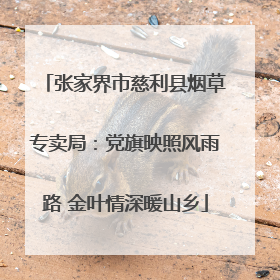 张家界市慈利县烟草专卖局：党旗映照风雨路 金叶情深暖山乡