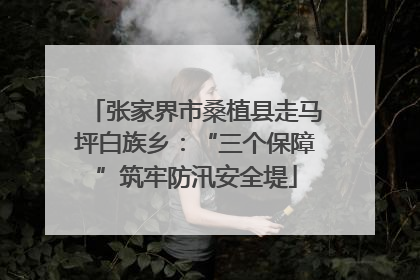 张家界市桑植县走马坪白族乡：“三个保障”筑牢防汛安全堤