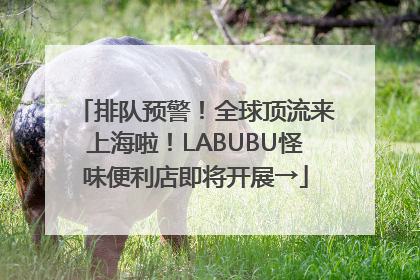 排队预警！全球顶流来上海啦！LABUBU怪味便利店即将开展→