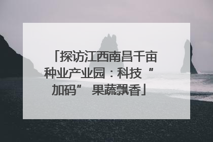 探访江西南昌千亩种业产业园：科技“加码” 果蔬飘香