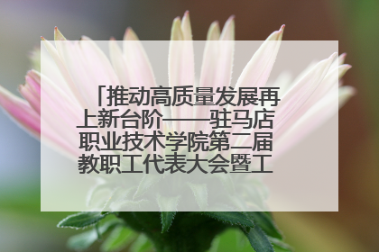 推动高质量发展再上新台阶——驻马店职业技术学院第二届教职工代表大会暨工会会员代表大会第四次会议成功召开